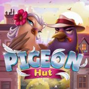 Pigeon hut