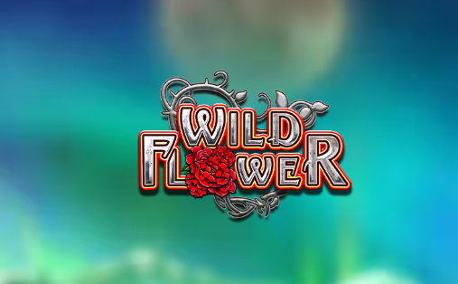 Wild Flower Buy Bonus
