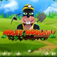 Moley Moolah Going Underground