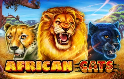 African Cats