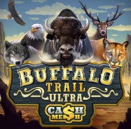 Buffalo Trail Ultra