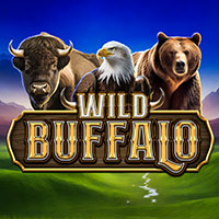 Wild Buffalo