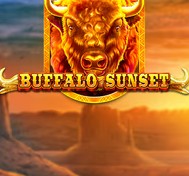 Buffalo Sunset