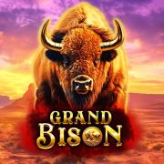 Grand Bison